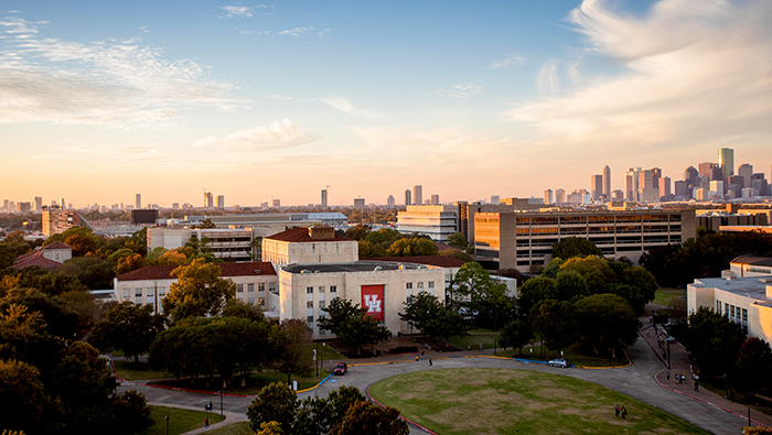 Houston Skyline