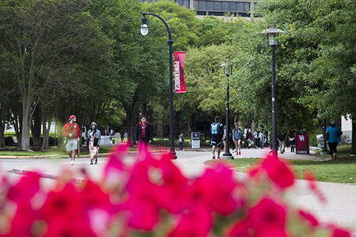 UH Campus with red flowers in the background