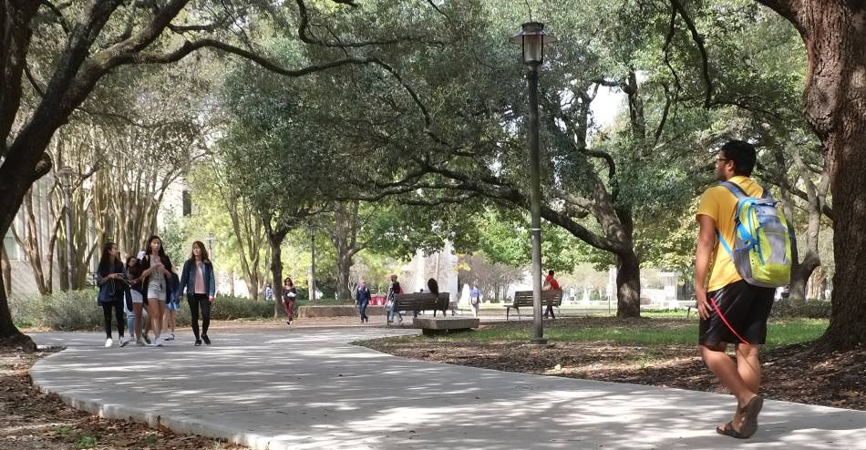 Students walking through campus.