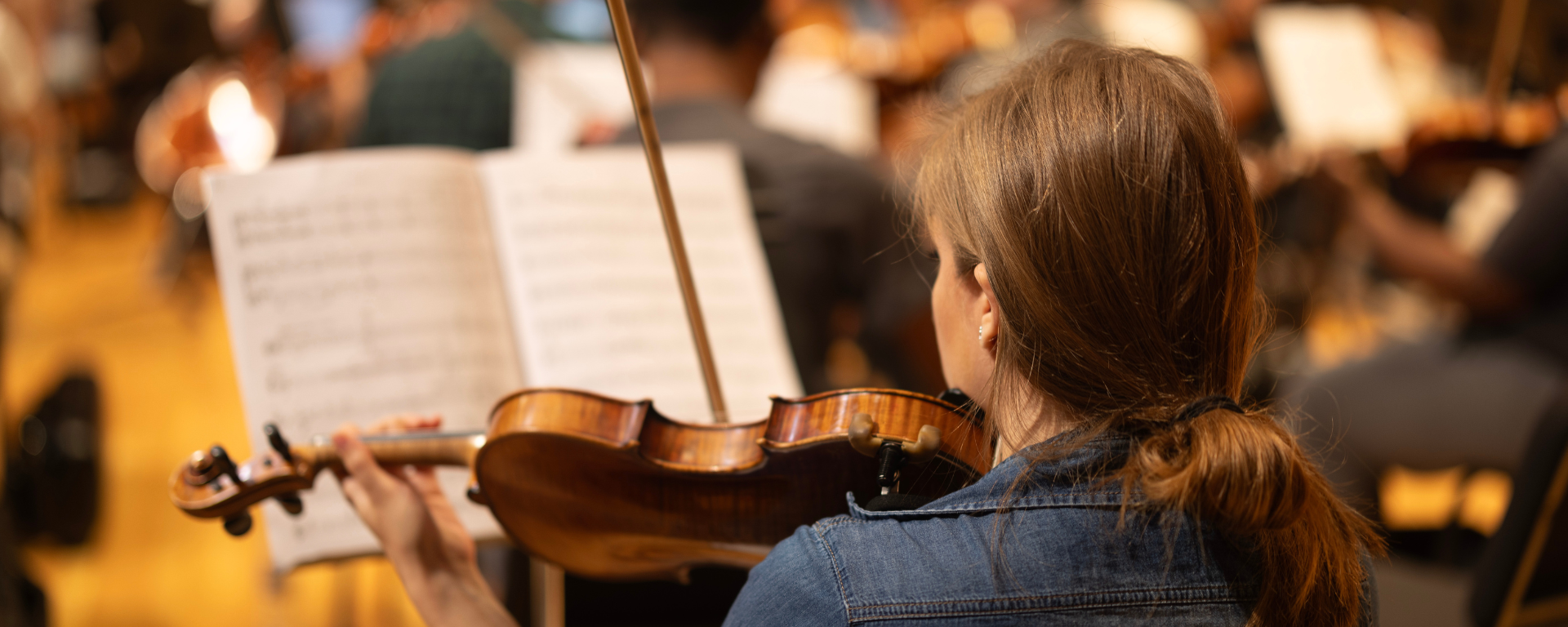 view from behind a violinist