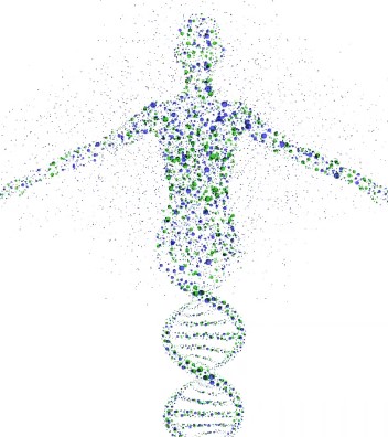 DNA double helix